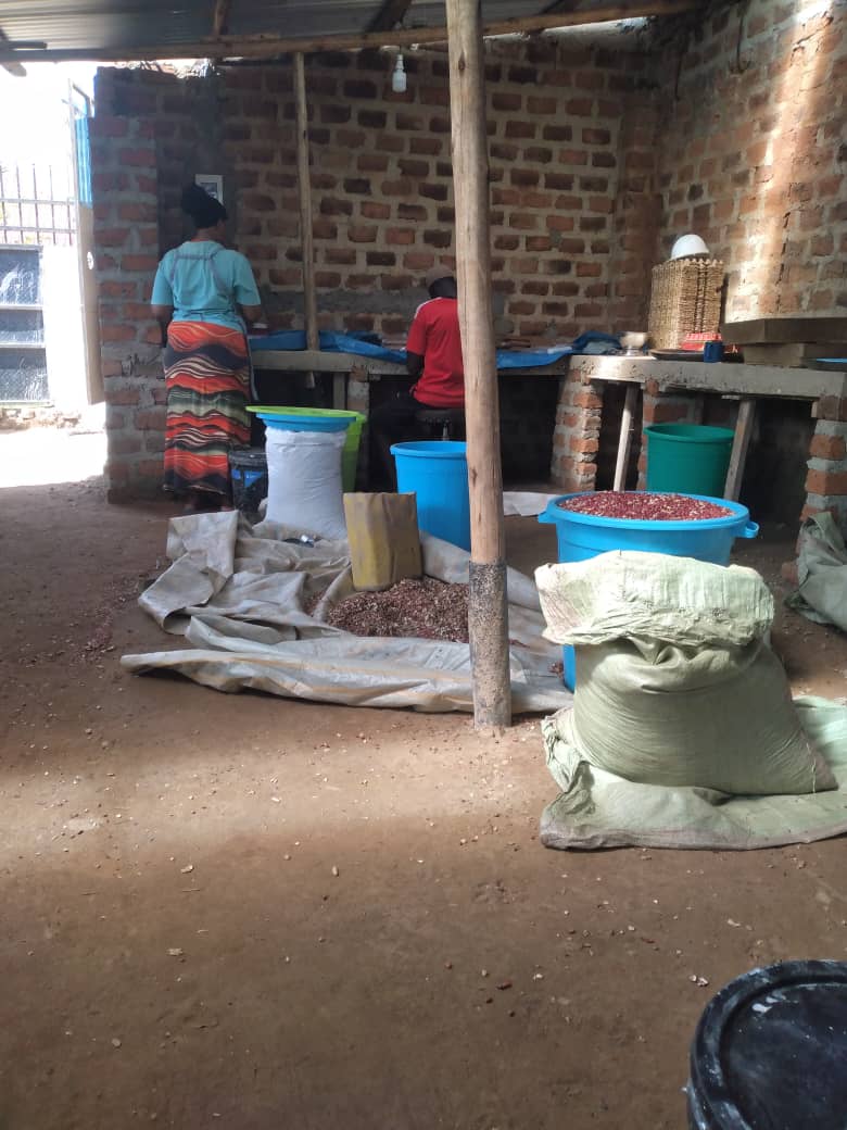 Sorting beans