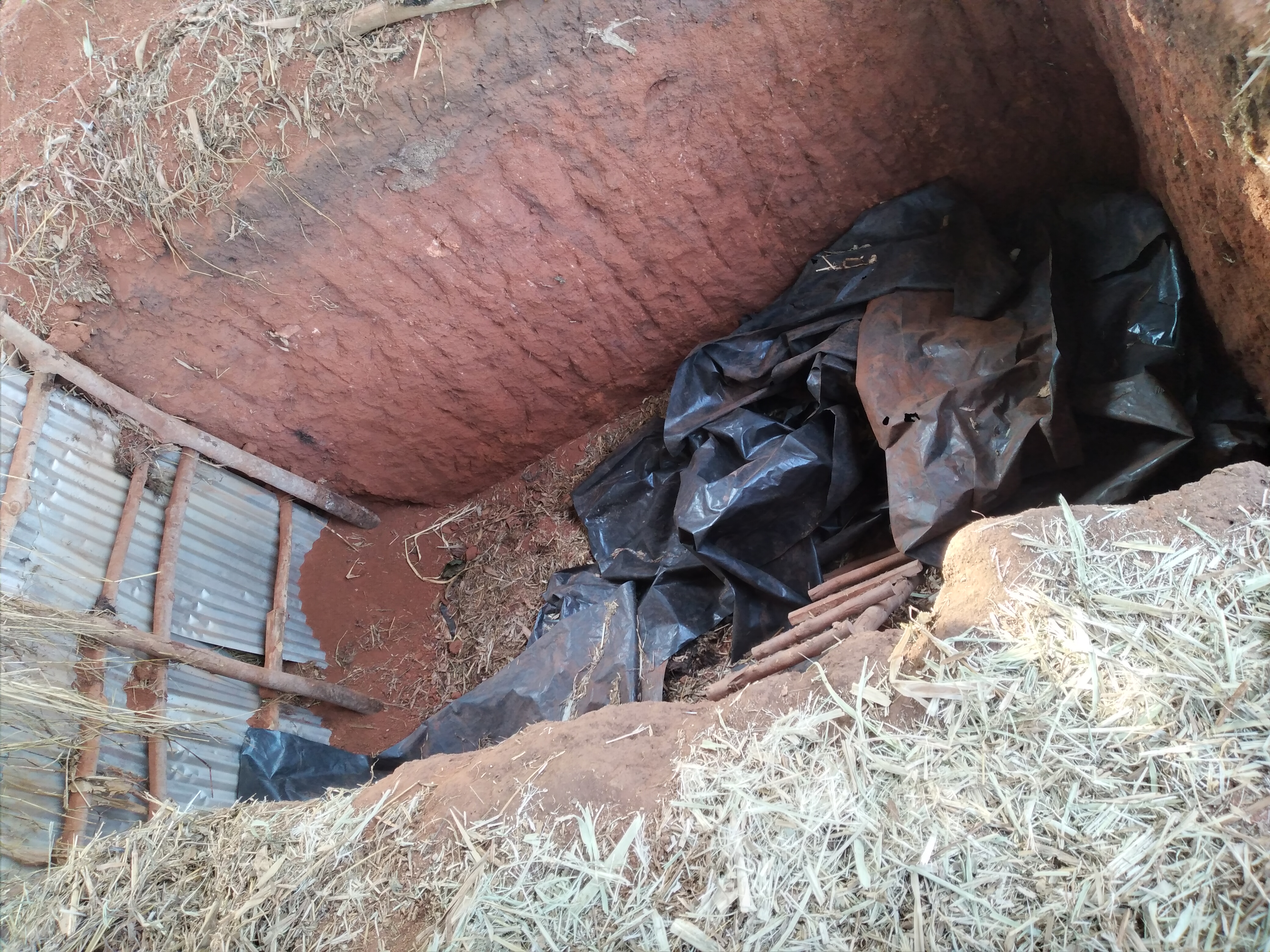 Silage pit